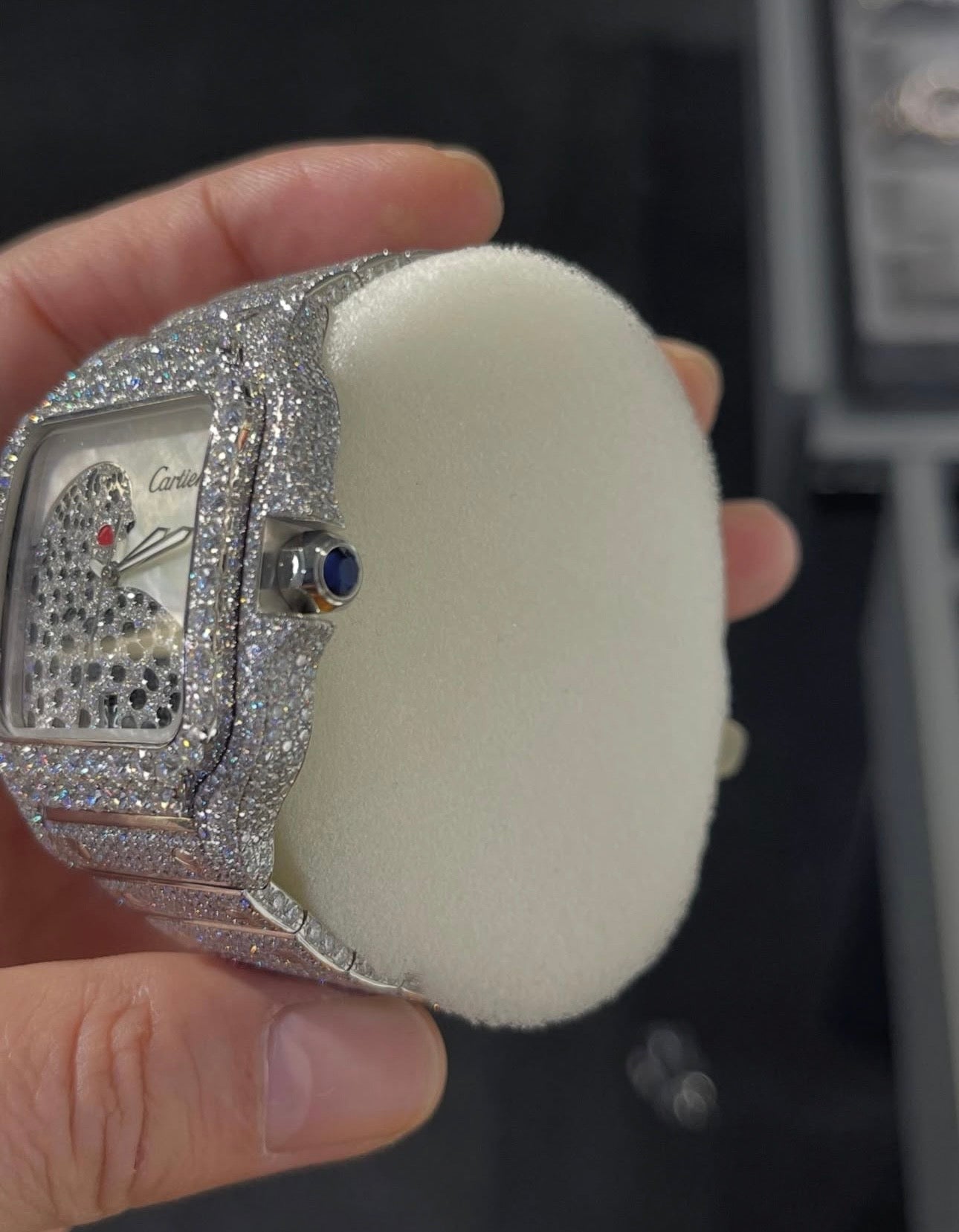 Rio Ice Vault Panther Wrist