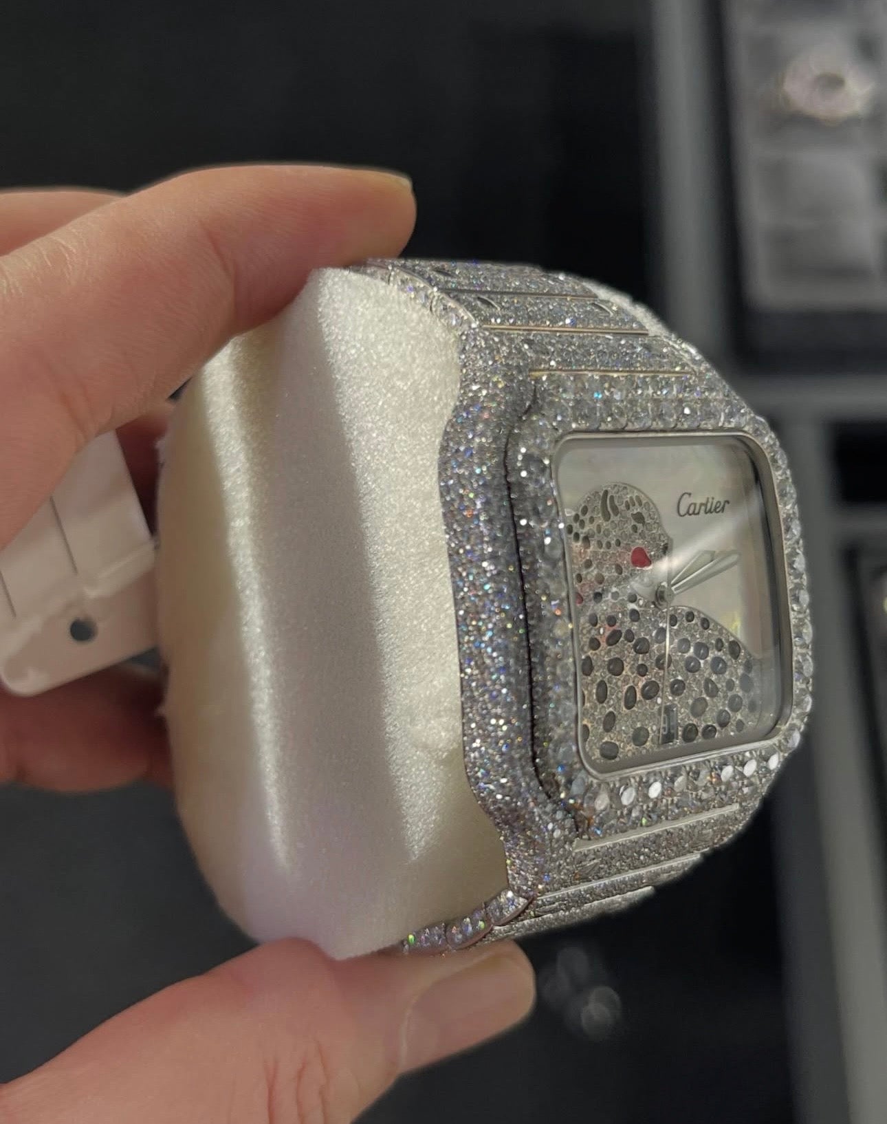 Rio Ice Vault Panther Wrist